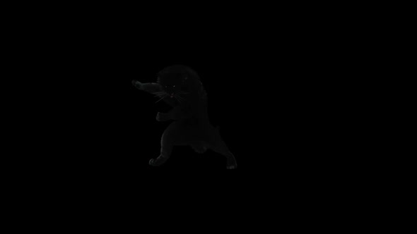 Panther Dancing HD