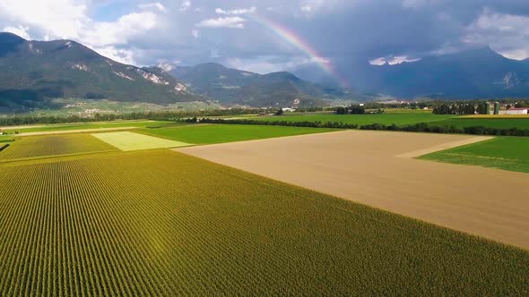 Flight going up over a wheat field with a rainbow