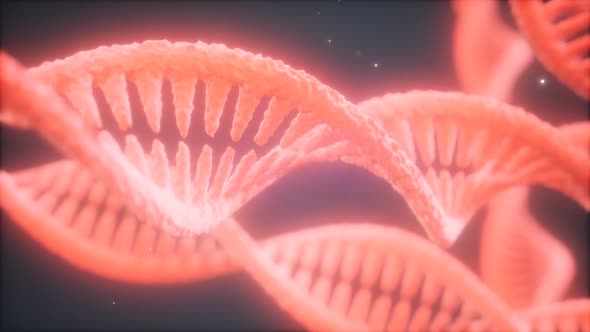 Double Helical Structure of Dna Strand Closeup Animation alt