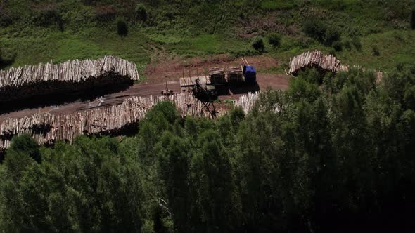 The Deforestation of Siberia Economic and Environmental Problems in Russian Forest Management