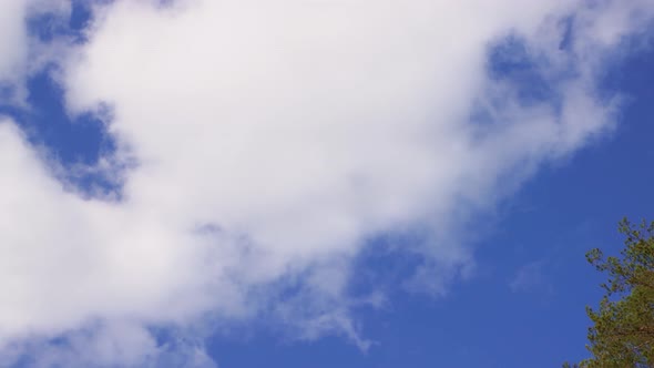 Blue Sky with Beautiful Moving White Clouds Panorama