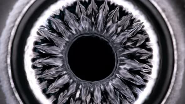 Ferrofluid or Ferromagnetic Fluid Under the Influence of Sound Waves (Cymatics), Begins To Vibrate