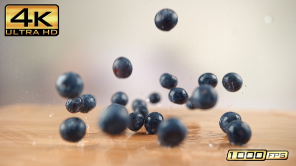 Falling Blueberries