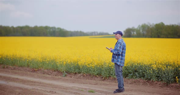 Farmer Examining Rapeseed Crops at Agricultural Farm