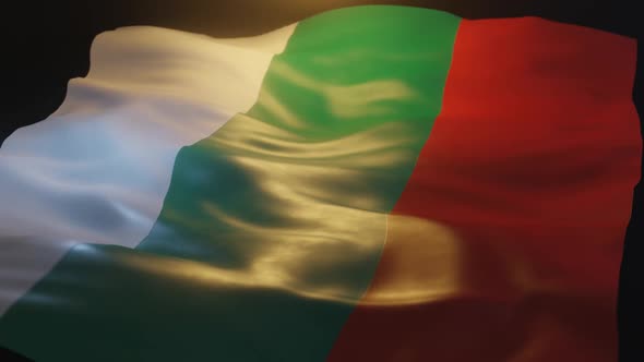 Bulgaria Flag Low Angle View