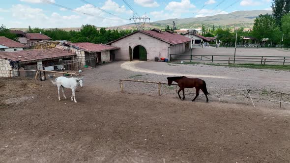 Horse ranch high in the mountains of Cappadocia Aerial view 4 K