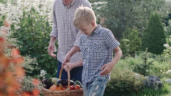 Little Boy and Elderly Man Carrying Basket with Harvest