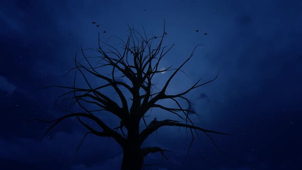 Horror Night with Bird and Tree