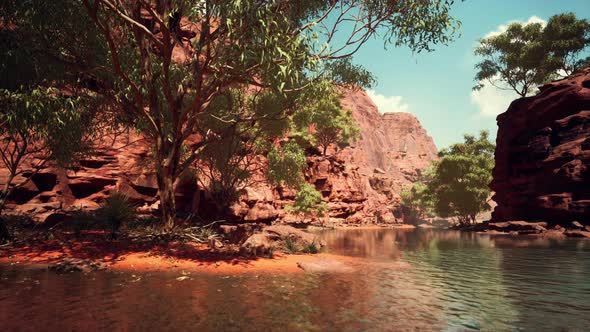 Reflection in Colorado River in Grand Canyon