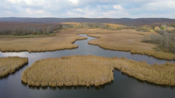 lake and reeds in autumn, Igneada, Turkey