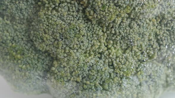 Floret of  green broccoli Brassica oleracea in cellophane  package close-up slow tilt footage