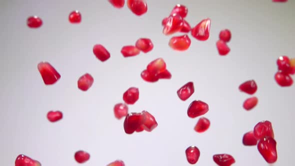 Red Juicy Grains of Pomegranate are Bouncing and Falling on a White Background