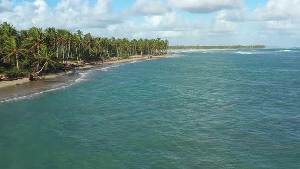 Wild Tropical Coastline with Coconut Palm Trees and Turquoise Caribbean Sea