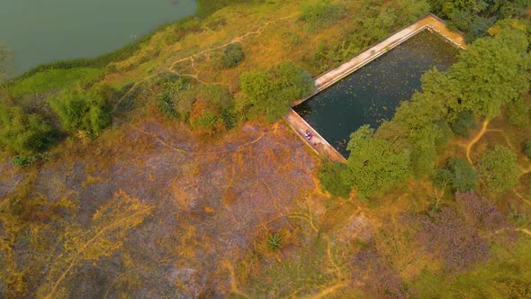 old disused pool located on Jahangirnagar University campus area, in Savar, Dhaka, Bangladesh. bird