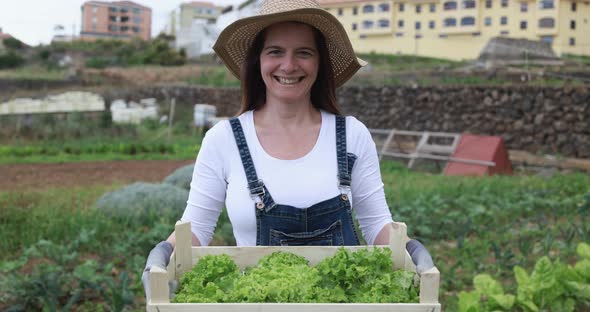 Mature caucasian woman working at ecological farm - Fresh food and harvest concept