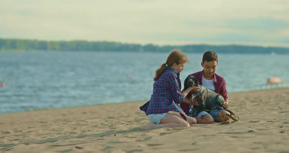 Brother and Sister are Sitting on the Sand By the Sea and Playing with the Dog