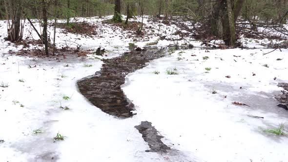 stream in the middle of the forest in winter.