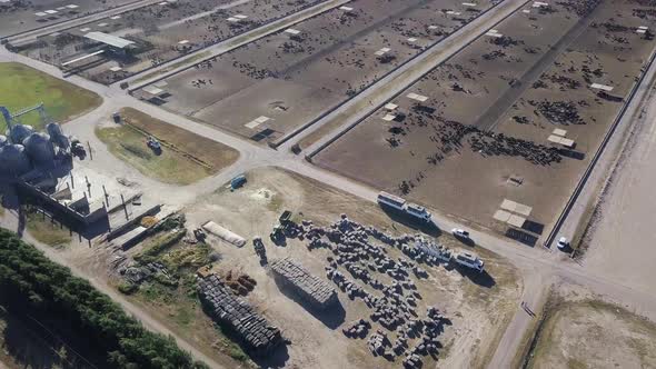 aerial view of a feedlot with cows in a rural setting