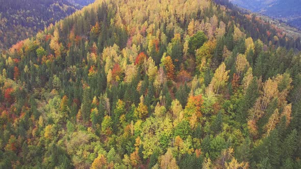 Aerial Flight in Carpathian Mountains