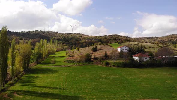 Nature and Wind Tribunes