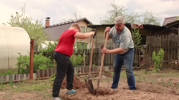 Together Father and Son Dig a Hole with a Shovel for Planting a Tree