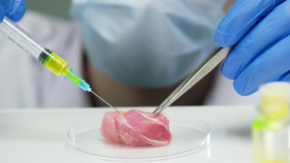 Medical Scientist Specialist Injecting Meat with Syringe in Glass Dish Food Research in Modern