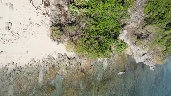 Zanzibar Tanzania  Vertical Video of the Ocean Near the Coast Slow Motion