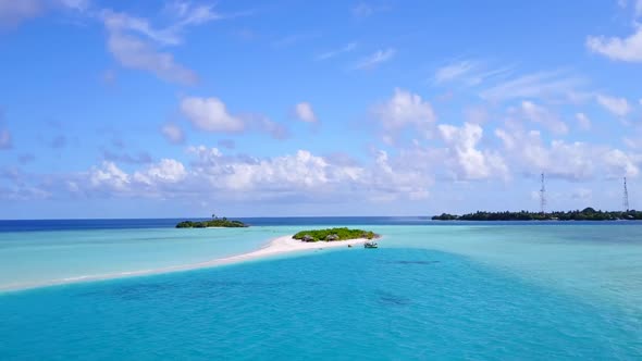 Drone aerial panorama of island beach wildlife by ocean and sand background