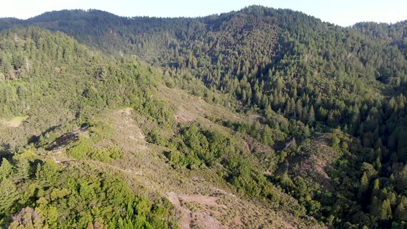 Aerial View of the Verdant Hills with Trees in Napa Valley During Summer Season. 