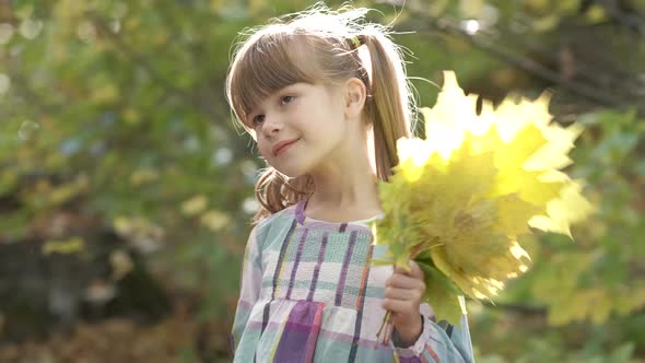 Portrait of Happy Child Girl with Bunch of Yellow Autumn Leaves Smiling in Camera on Bright Blurred