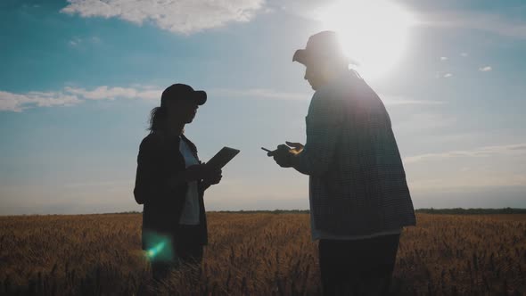 Farmers Handshake Over the Wheat Crop in Harvest Time. Team Farmers Stand in a Wheat Field with