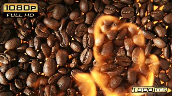 Coffee Beans in Flames