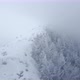Aerial drone view of beautiful winter scenery in the mountains with pine trees covered with snow - VideoHive Item for Sale