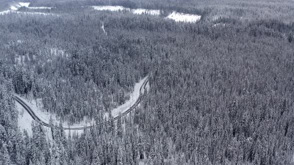 Aerial of a snowy forest, looking down on an ice covered road