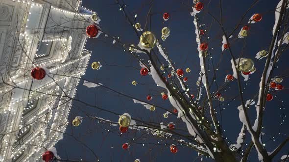 New Year's Lighting on the City Streets Light Decorations in the New Year Holiday Views of the