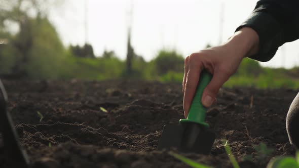 Gardener Farmer Digs The Ground Soil With Garden Tools Shovel For Soil. The Agronomist Prepares