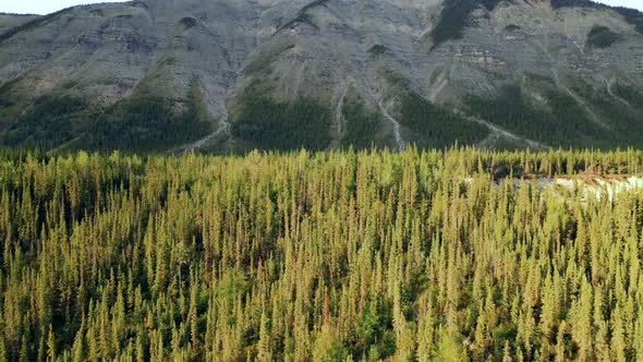 Fast drone lift reveals a large mountain forest of a big Rocky Mountain with a descending slope in B