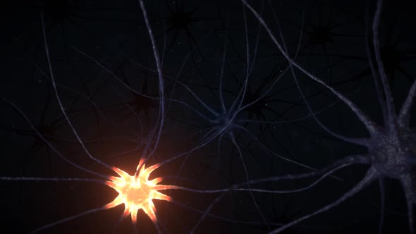 Neurons fly through