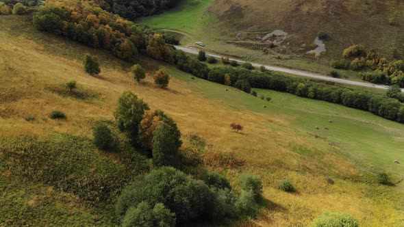 Aerial View of the Autumn Nature of the Mountainous Area with Yellowed Trees Somewhere in the Gorge