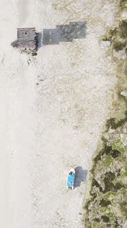 Vertical Video of Low Tide in the Ocean Near the Coast of Zanzibar Tanzania