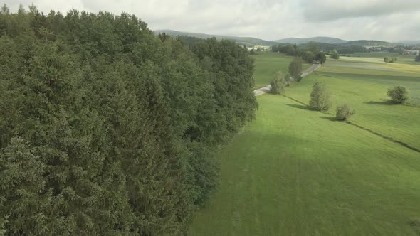 Flight over the tops of the trees in the beautiful forest of Bavaria