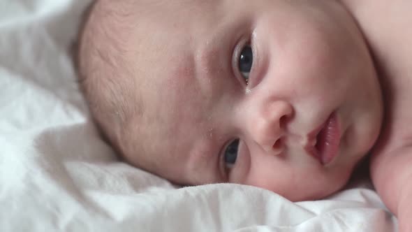 Closeup of Newborn Baby on White Blanket