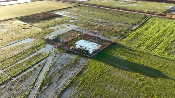 Farm House Background Texture 4 K Aerial View