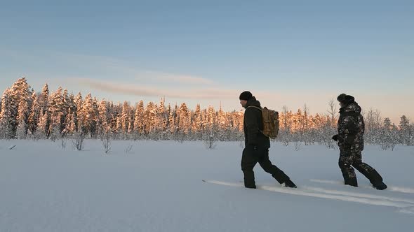 A Man and a Woman Walking Through a Beautiful Winter Forest on Skis