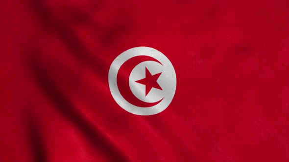 Tunisia Flag Waving in the Wind