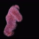 Hairy Dude Dances - VideoHive Item for Sale