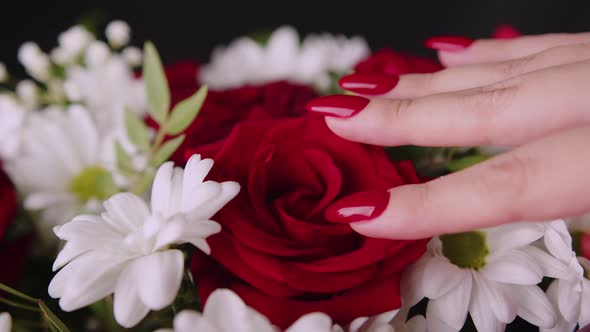 Woman's hand touching rose.