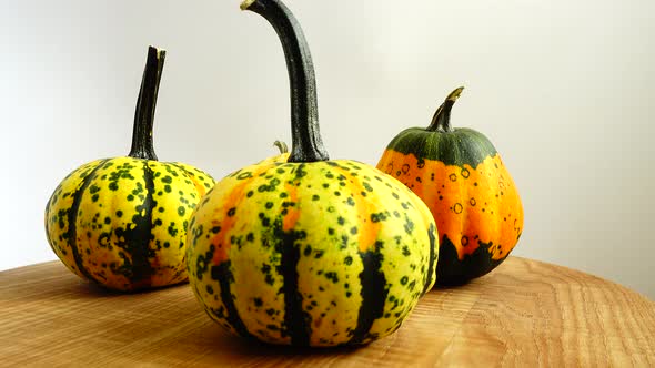 Pumpkins on a White Background