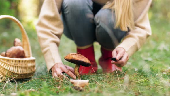 Young Woman Picking Mushrooms in Autumn Forest 16