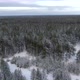 Flight Over a Taiga Forest in Winter - VideoHive Item for Sale